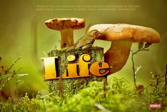 Inspirational Contemporary Christian Wallpaper Designbies