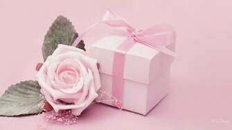 Pink Flower Desktop Wallpaper