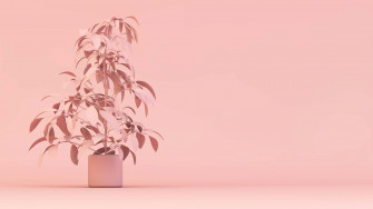 Aesthetic Computer Light Pink Wallpaper