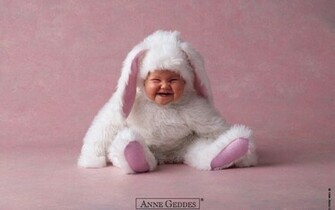 Rabbit Baby Wallpaper Pictures