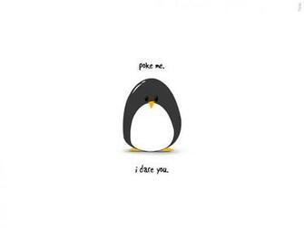 Funny Penguin Wallpaper Android Apk For