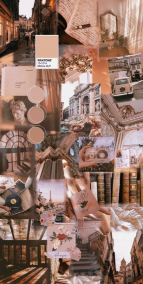 Beige Rose Gold Moodboard In