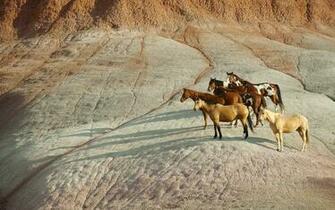 Wallpaper Oldsmobile Cutlass Supreme In Augusta Ga