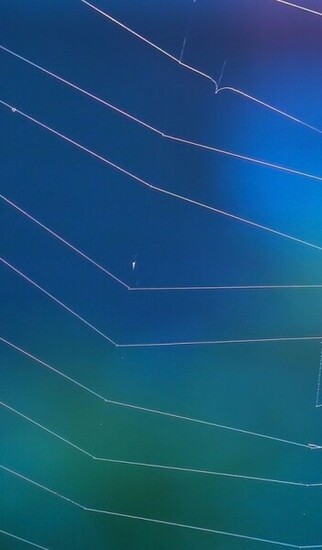 The World Wide Web Desktop Wallpaper