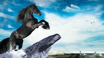 Black Stallion Swans HD Wallpaper