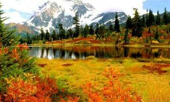 Of Beautiful Israel Landscape Wallpaper If You Enjoy