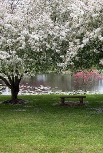 Parallax Wallpaper First Day Of Spring HD