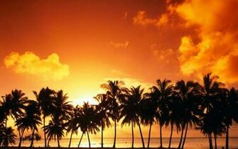 The Best Beach Background Wallpaper Of