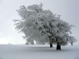 Winter Background Photography Photos