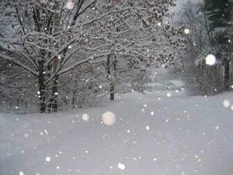 Snow Storm Full HD Wallpaper Window Top Rated