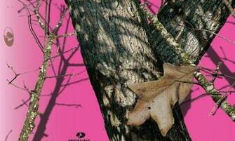 Pink Camo Browning Deer Wallpaper By Shanna Category Other Price