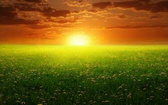 Dream Spring Dandelion Sunset Wallpaper HD