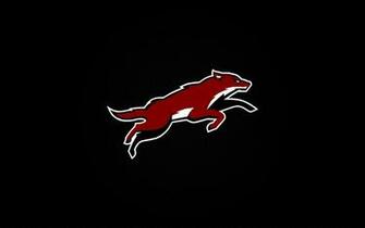 Arizona Coyotes HD Wallpaper Background Image Id