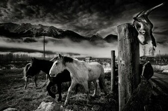 Wild West Wallpaper