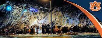 Auburntigers Auburn University Official Athletic Site