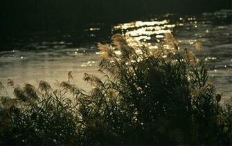 Wallpaper Japan Widescreen