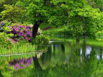 Green Park Summer One HD Wallpaper Pictures