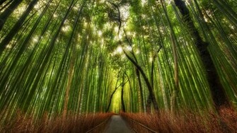 Pacific Northwest Wallpaper