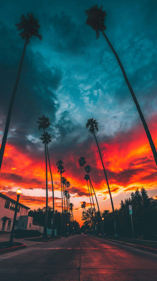 Vertical Dual Monitor Wallpaper