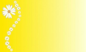 Daisies On Yellow Background Stock Photo HD Public Domain