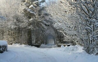 The Winter Wonderland Desktop Background