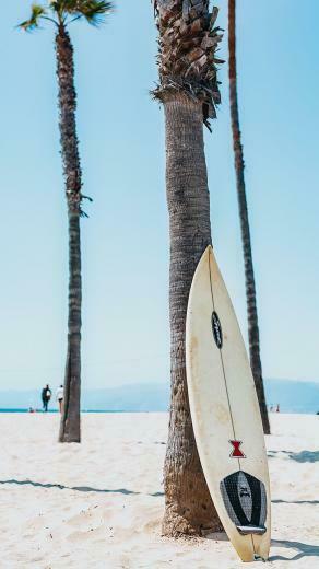 Beautiful Los Angeles iPhone X Wallpaper Surfing