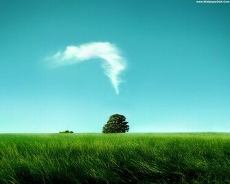 To Set This Wallpaper As Your Desktop