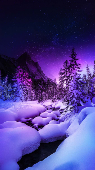 Heavy Snow Fall In Forest iPhone Wallpaper HD
