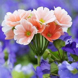 Bright Flower Wallpaper