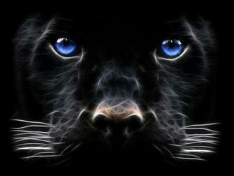 Wallpaper You Black Panther