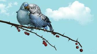 Desktop Love Birds Photos Wallpaper