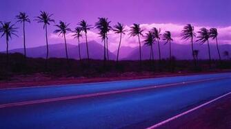 Lavender 1080p Wallpaper High Definition Quality Widescreen