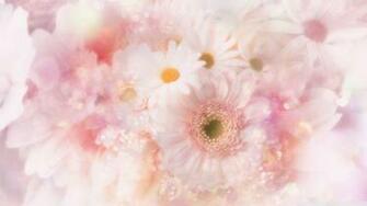 Gerbera Wallpaper Image Group
