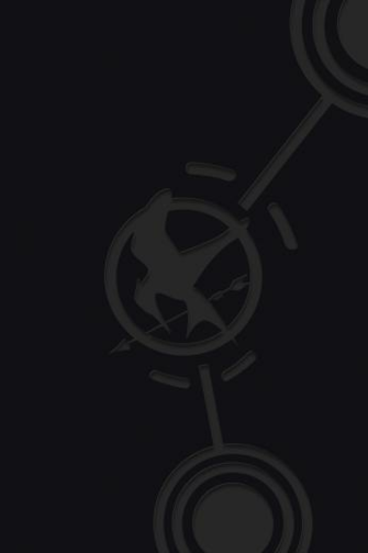 Mockingjay iPhone Wallpaper All iPad