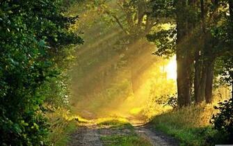 Path Wallpaper