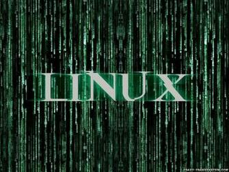 Matrix Code Wallpaper