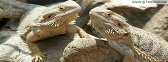 Bearded Dragons Cover