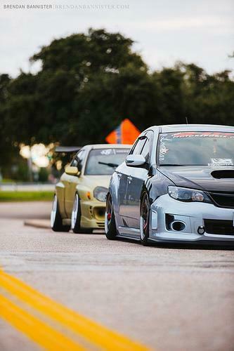 Iver Brendanbannister S Photos Tagged With Volk