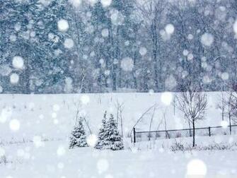 Winter Snowing 4k HD Desktop Wallpaper For Wide Ultra