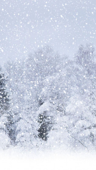 Nature Heavy Snow Forest iPhone Plus Wallpaper Falling