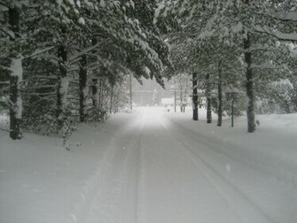 Walked About Halfway Down The Driveway To Take This One We Have A