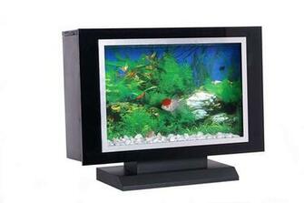 Amazon Aquavista With Whitestone Background And Limited