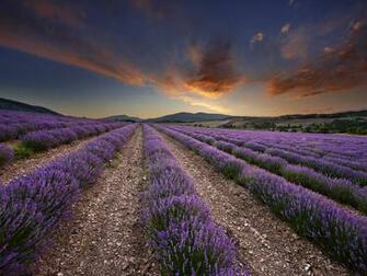Provence France Wallpaper Top Background