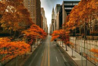 Fall In New York City