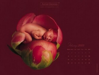 Wallpaper Anne Geddes Chez Swan Net