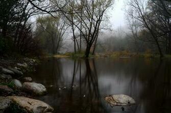 Fog Forest Lake Autumn Stones Wallpaper