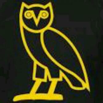 Yolo Logo Drake Owl