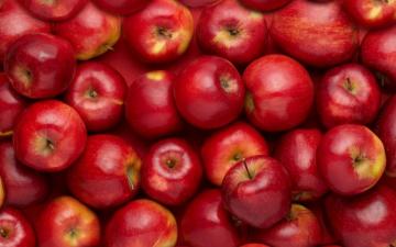 Apples Texture Background