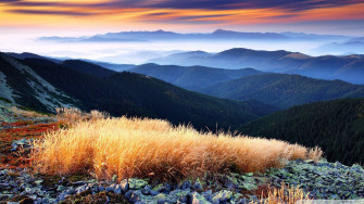 Beautiful HD Wallpaper