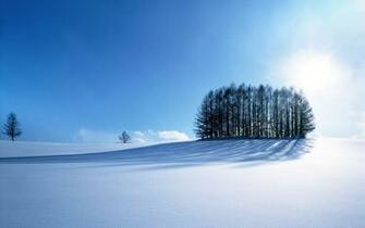 Snowy Field HD Desktop Wallpaper Wallpapercow